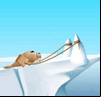 Ice Slide