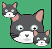 CatMouse.io