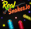 RealSnakes.io