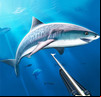 Hunter Underwater Spearfishing 3D