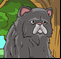 Fluffy Cat
