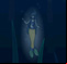 Darkwater