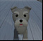 Escape of Naughty Dog