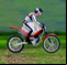 Bike Mania Arena 1